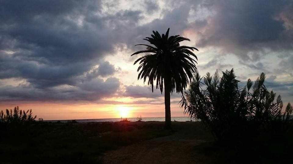 Sagunto Mediterrania Marina חדר תמונה