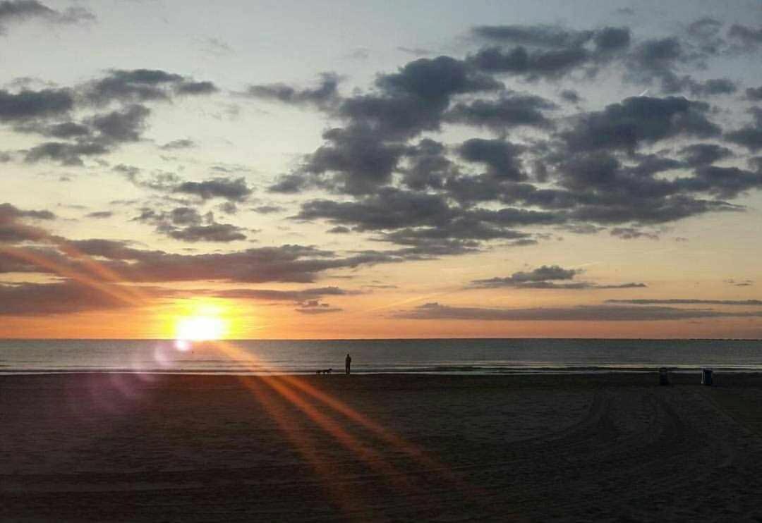 Sagunto Mediterrania Marina חדר תמונה