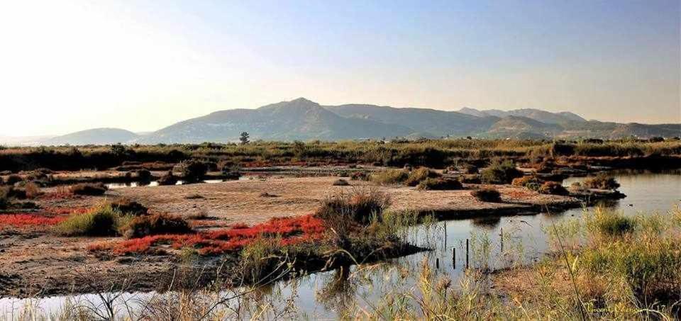 Sagunto Mediterrania Marina חדר תמונה